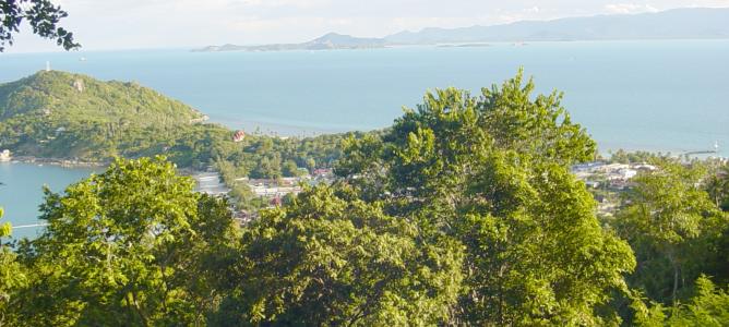 view from Green Trail